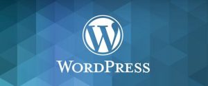 移除WordPress的短链接shortlink，防止重复收录-LyleSEO