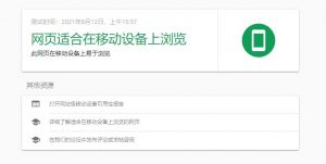 Google Search Console 移动端优质网址优化技巧-LyleSEO