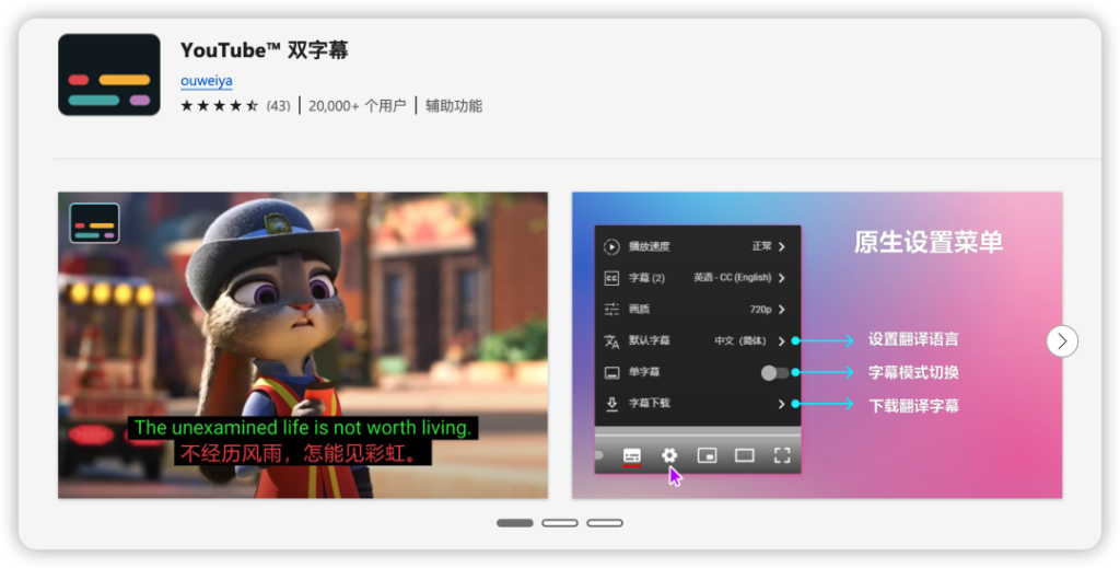 YouTube 双字幕