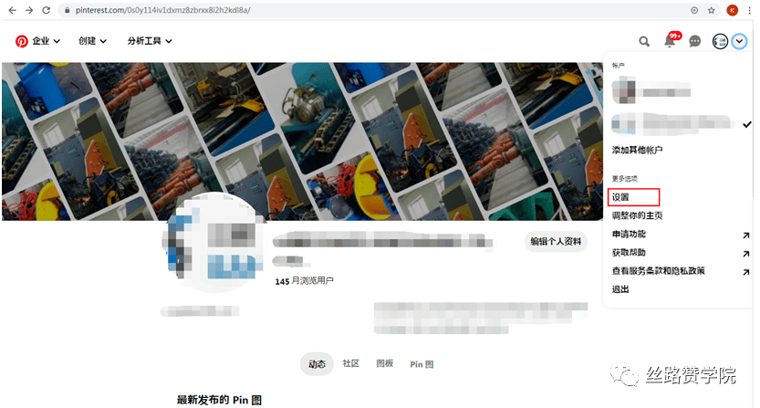 图片[8]-Pinterest推广技巧教程（账号搭建至发布优化）-LyleSEO