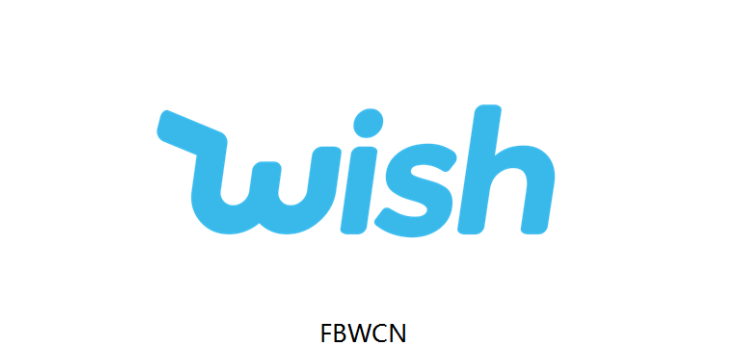 FBW是什么意思
