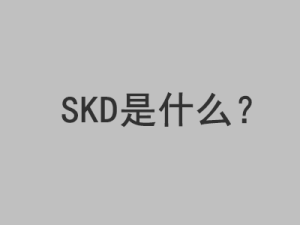 SKD是什么意思?-LyleSEO
