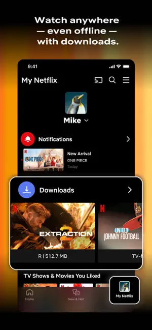 Netflix安卓版截图2
