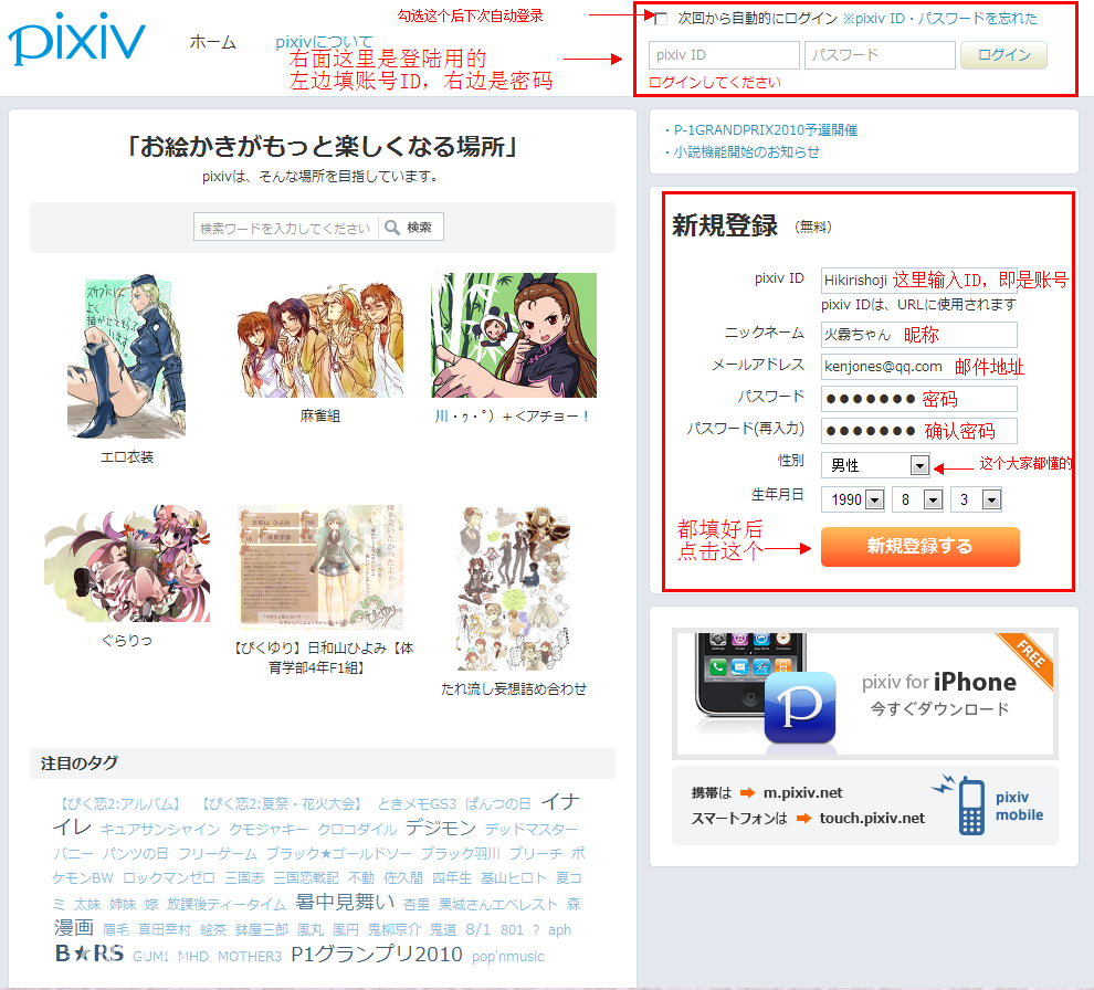 图片[3]-P站（Pixiv.net）2026最新账号注册教程-LyleSEO