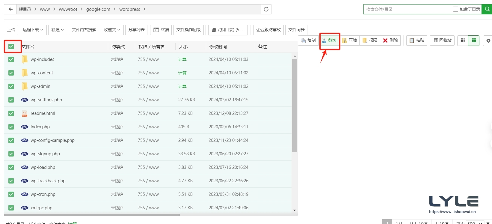 图片[14]-WordPress 宝塔安装教程（搭建与主题安装）-LyleSEO